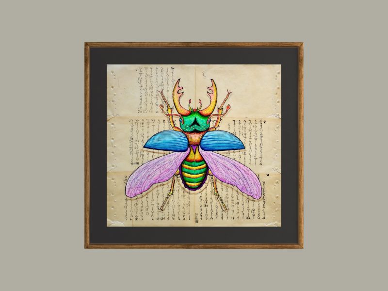 Insect on Script