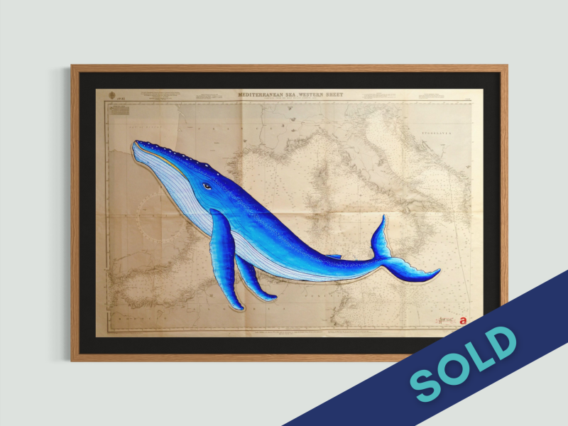 Mediterranean Blue Lady