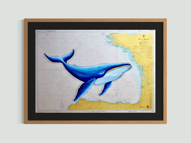 Biscay Whale