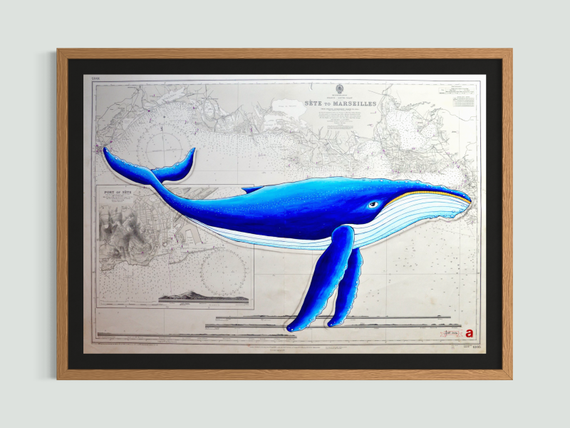 Baleine de Marseilles