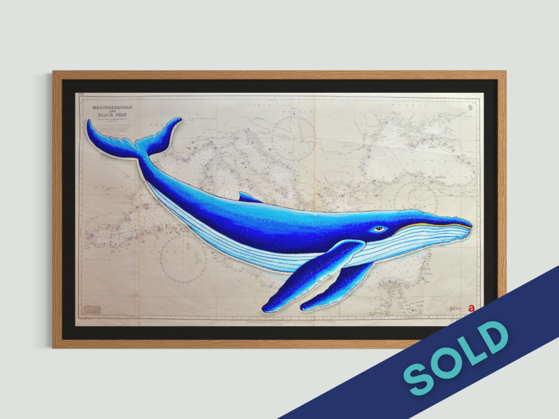 Mediterranean Whale