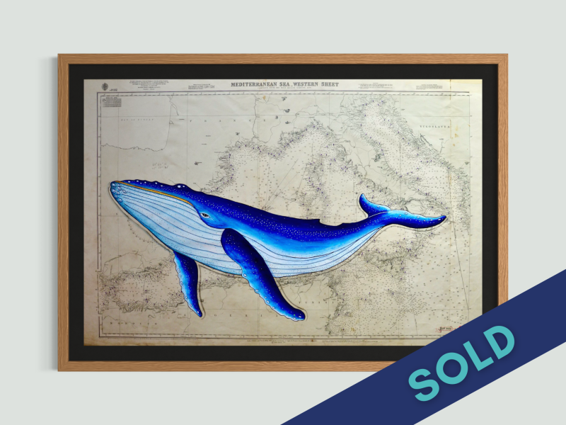 Western Sea Whale