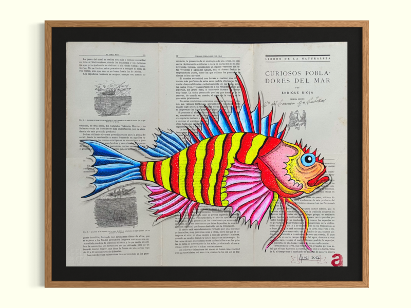 Red Lionfish