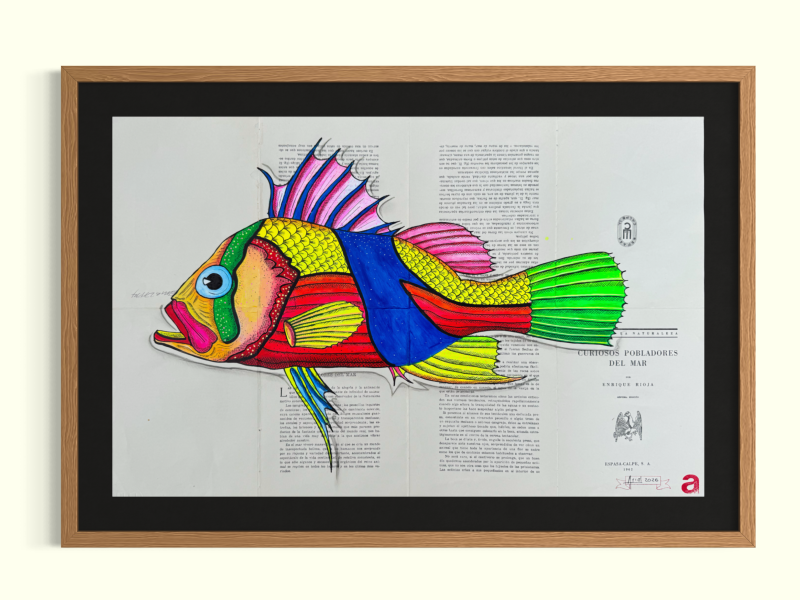Multicolor Fish