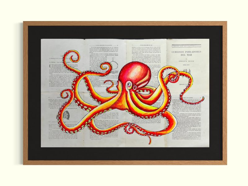 Octopus (Orange)