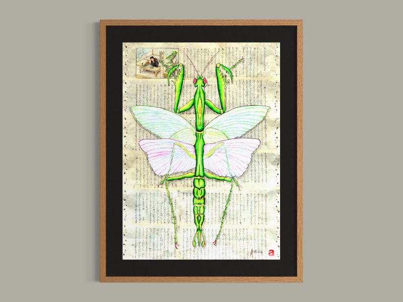 Praying Mantis