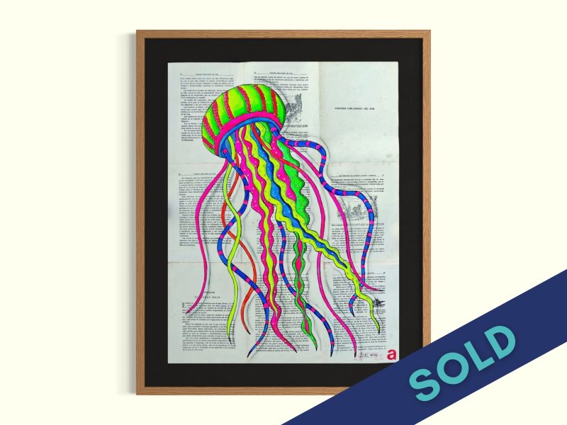 Colorful Jellyfish
